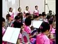 Xinghua Primary School's Chinese Orchestra Performace 2008
