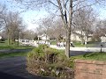 Third Annual Deer Run