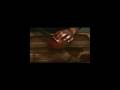 videos de Resubmitting The Mango