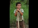 NICARAGUA  NICARAGUITA 2006