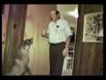 comedy39 afv comedy comedy39 afv comedy