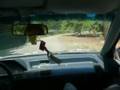 videos de Honda Rally Team