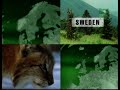 Little Big Cats - (Part 1 of 6)
