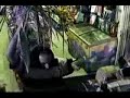 Roba tienda... armado con una rama de palma