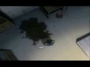 FMA - Blow Me Away - Dedicated to InsanimaniaDreams