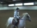 Lizzie och Amigo, 9/11-08