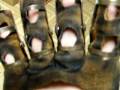 Freddy Krueger Glove #5 by Uberfx