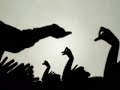 Sombras con las manos para fresonmagic.com