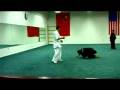 Zhao Bao Tai Chi Push Hand Applications