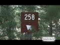 TRAVELBUDZ - Episode 17:Forest Travel