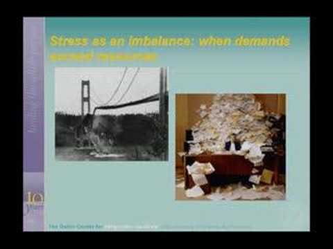 Coping With Stress - Staying Sane Through Difficult Times