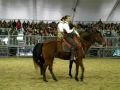 FIERACAVALLI VERONA 2008 C.  I. LA BADIA MONTA MAREMMANA