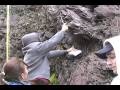D03-FIELD_WORK.MOV