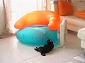 Tomato and the sofa