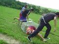 Jackass dallorto