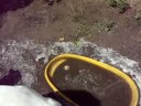 Szuszi & Dory & The Ball in the water