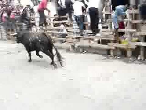 Huamantlada 2007 by 1R*o1