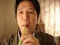 Butterbur Oboe-Lightly Row-