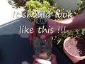 How to make waterfall bong