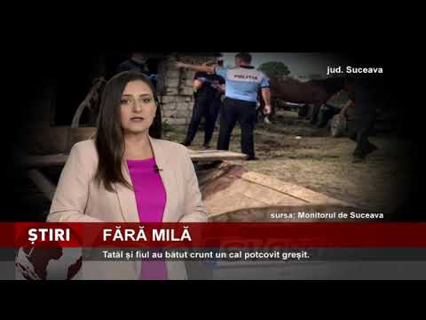 Doi bărbați, cercetați penal pentru cruzime față de un cal