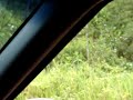 VIADUTO ABANDONADO CARAGU�, SERRA DO MAR ( PARTE 1)