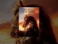 War Horse - YouTube