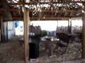 Pizzaria-em-Trancoso
