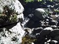 Yosemite - Stream