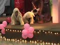 NLF Christian School Christmas