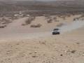 mustard jump.wmv