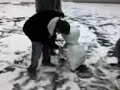 Snooow Snooow