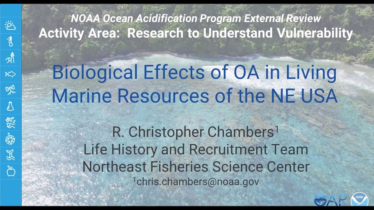 Activity Area 2:<br> Biological effects of OA in living marine resources of the NE USA