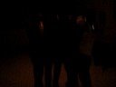 Pary Lajk a bosanac 3