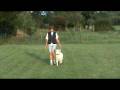 videos de M2U00015.MPG