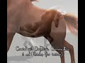Carrara 6 Pro and dynamic horse hair renders and animations