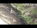 Bungee AV07c