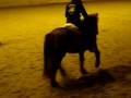 Lektion f�r Berit - trav