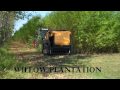 BIOBALER - BIOMASS HARVESTING SYSTEM - TRIAL IN MINNESOTA