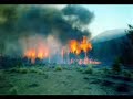 contaminacion ambiental