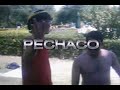 Clases de chopos