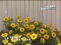 KB09 いけばな未来展　第5期