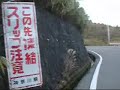ALL ABOUT TSUBAKI DOWNHILL.wmv