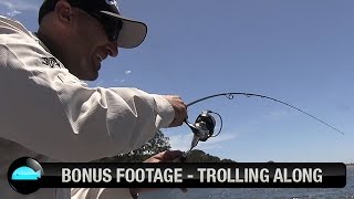 Trolling For Dusky Flathead Is Well Worth A Shot