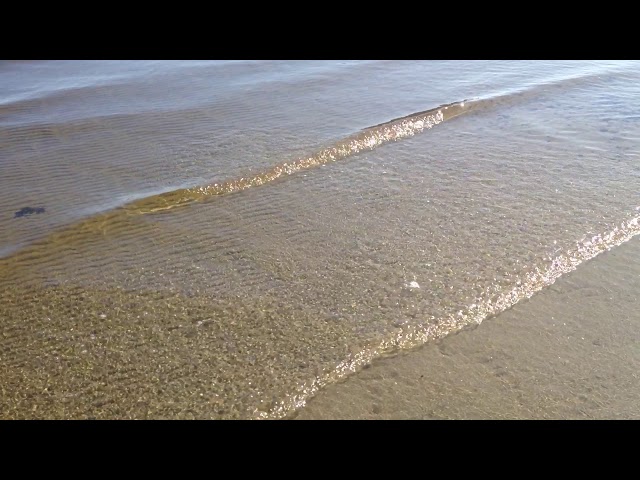 Video Galleries