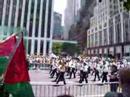 Viva Viva Palestina!