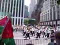 Viva Viva Palestina!
