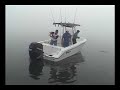 Bluefish Plugging Action in Norwalk, CT Bluefish Plugging Action in Norwalk, CT