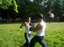 wiley vs osmel round 1