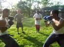 wiley vs osmel round 1