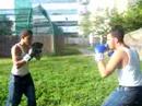 wiley vs osmel round 1